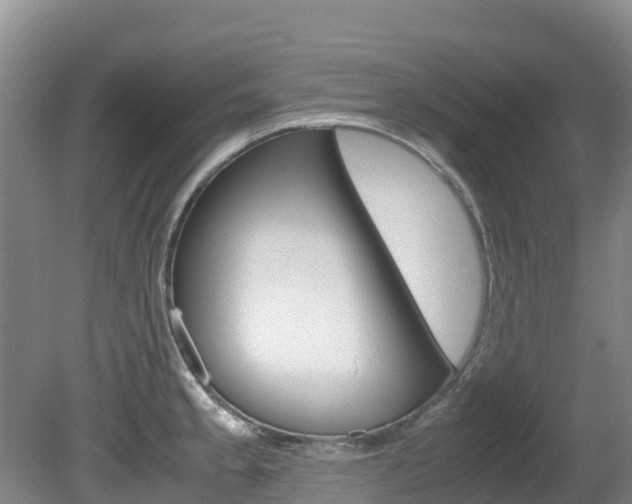X0000081611189200701151112