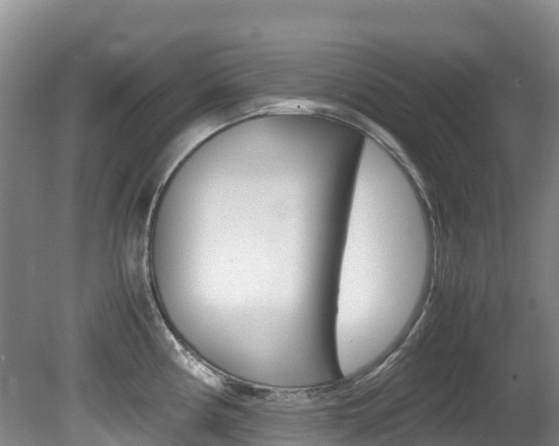 X0000081611194200701151112