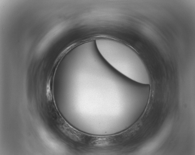 X0000081611198200701151112