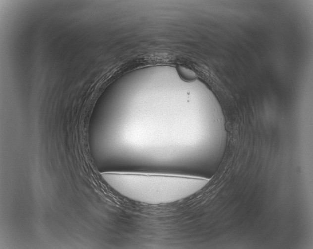 X0000081611201200701151111