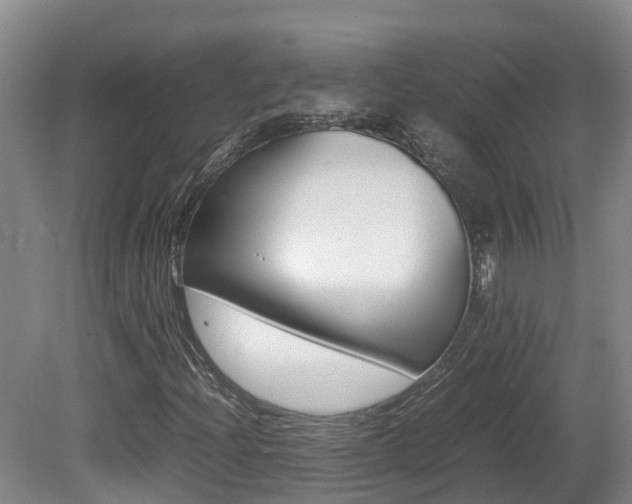 X0000081611204200701151111