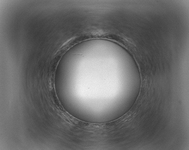 X0000081611205200701151111