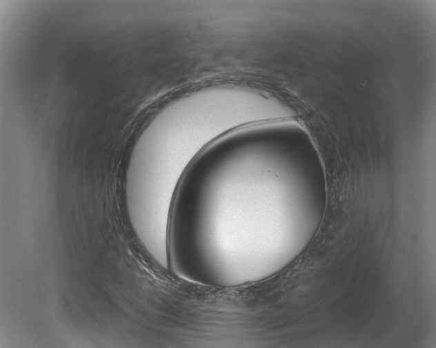X0000081611206200701151111