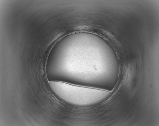 X0000081611209200701151111