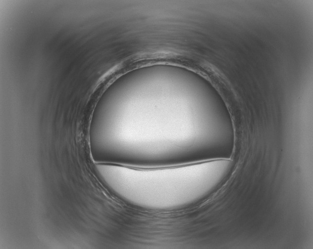 X0000081611210200701151111