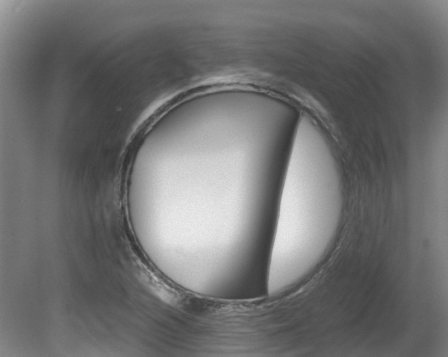 X0000081611216200701151111