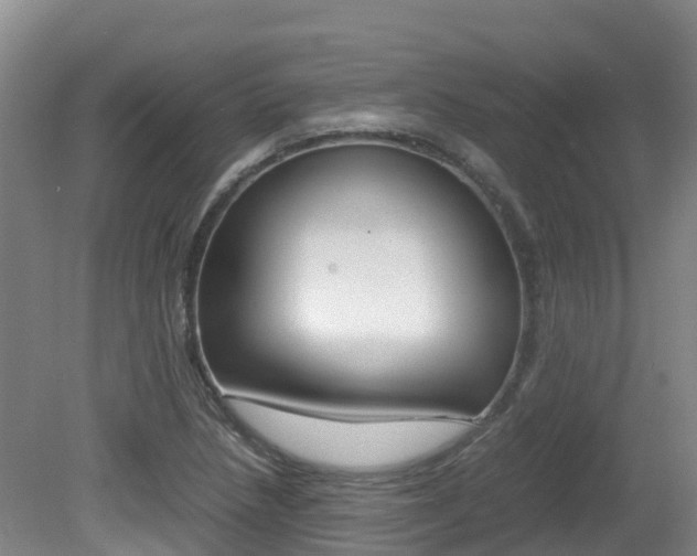 X0000081611218200701151111
