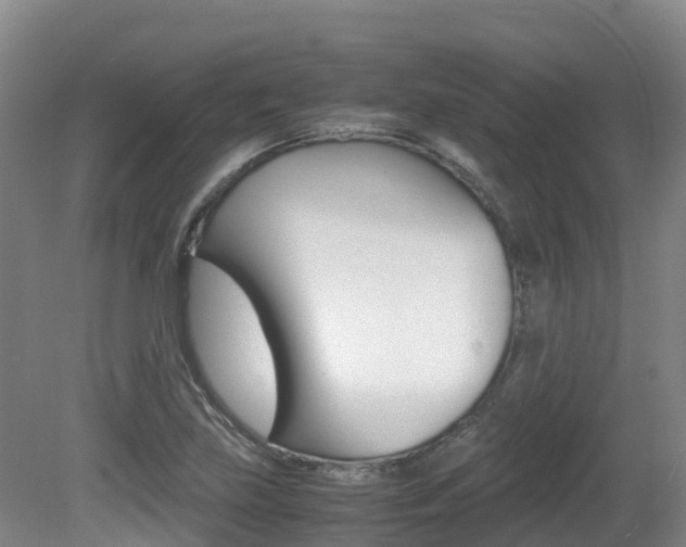 X0000081611219200701151111
