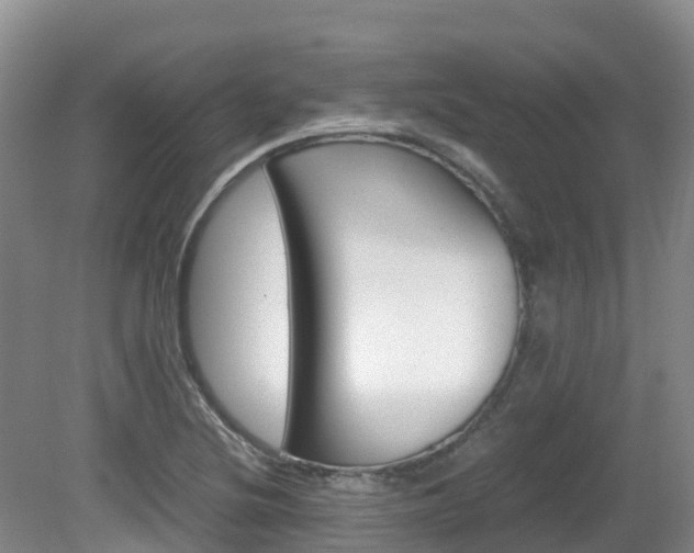 X0000081611220200701151111