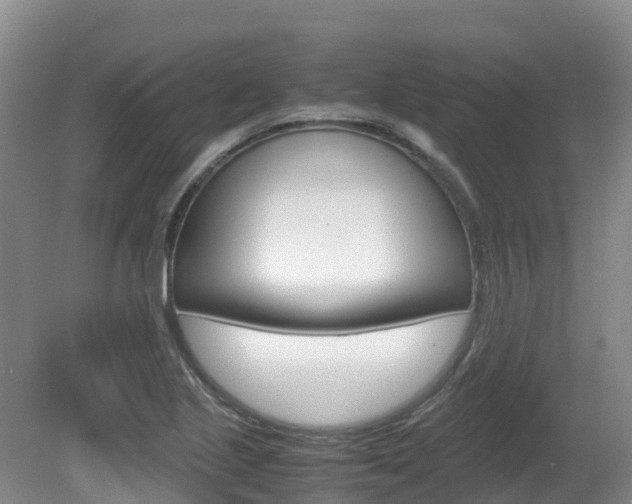 X0000081611221200701151111