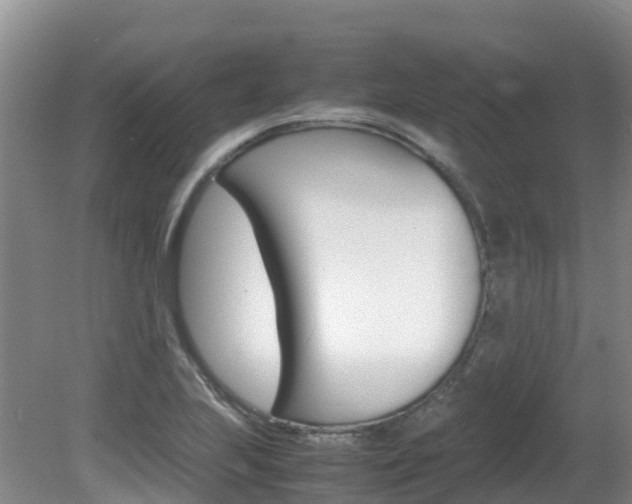 X0000081611223200701151111