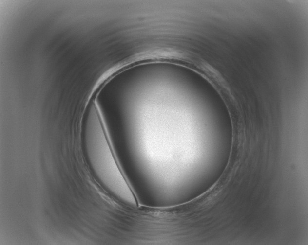 X0000081611226200701151111