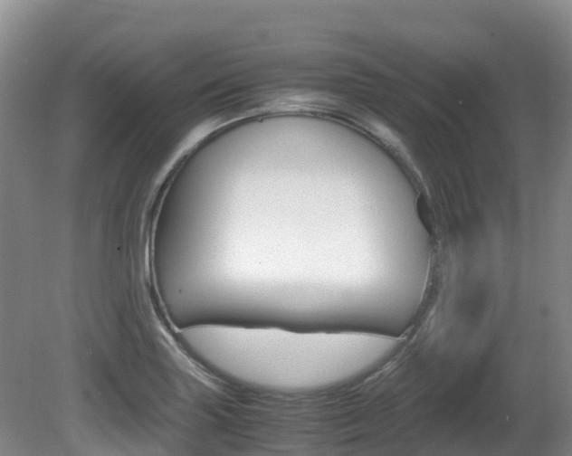 X0000081611227200701151111