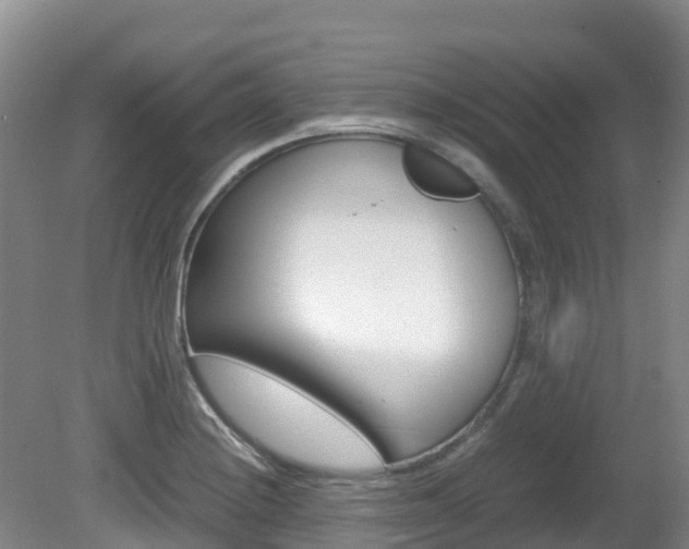X0000081611228200701151111