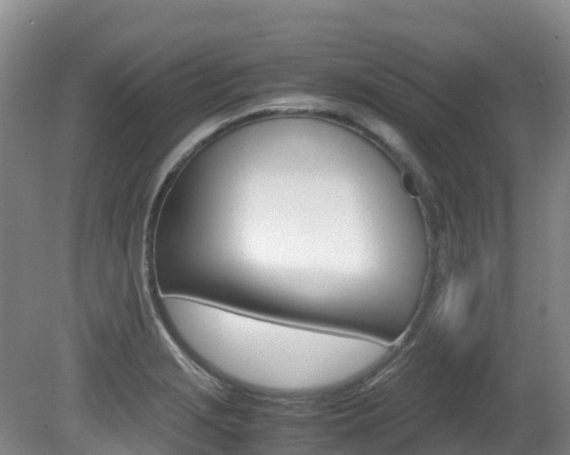 X0000081611229200701151111