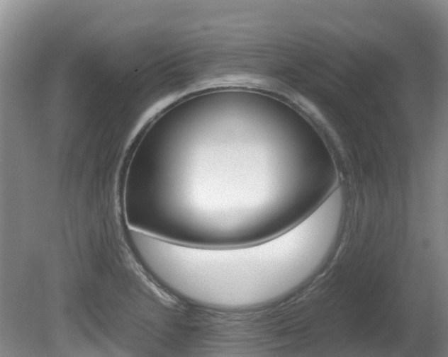 X0000081611230200701151111