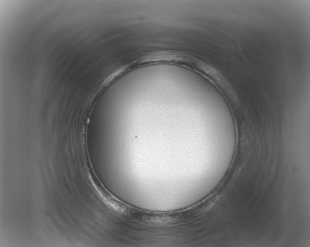 X0000081611233200701151111