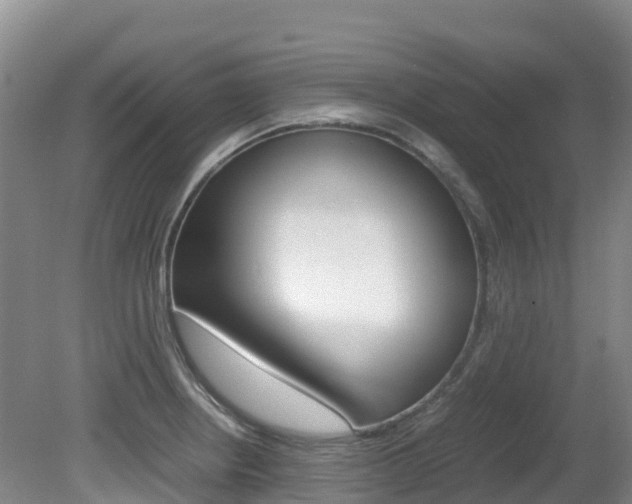 X0000081611234200701151111