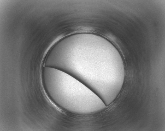 X0000081611235200701151111