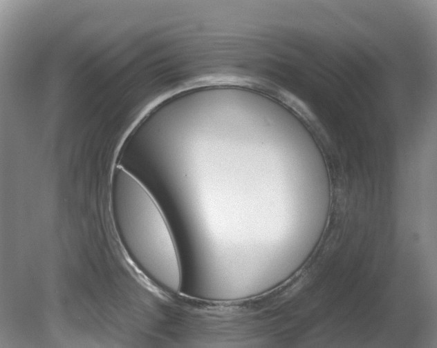 X0000081611236200701151111