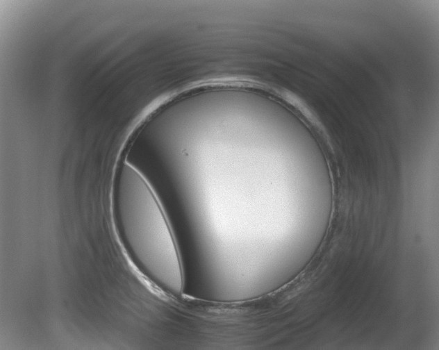X0000081611237200701151111