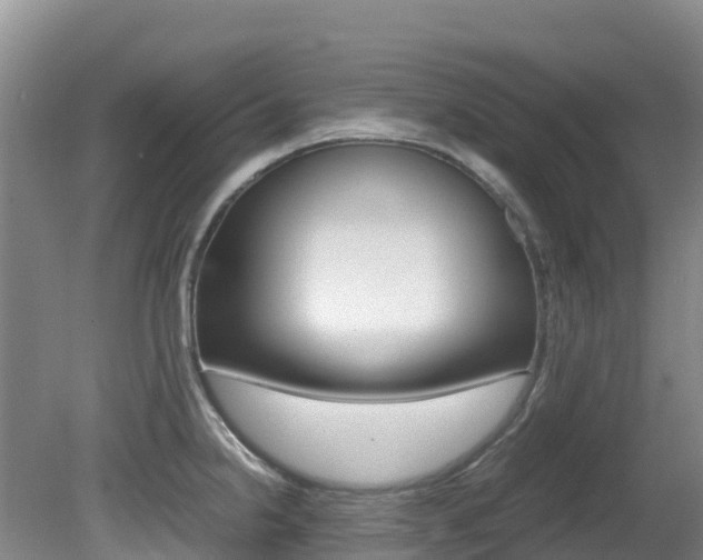 X0000081611238200701151111