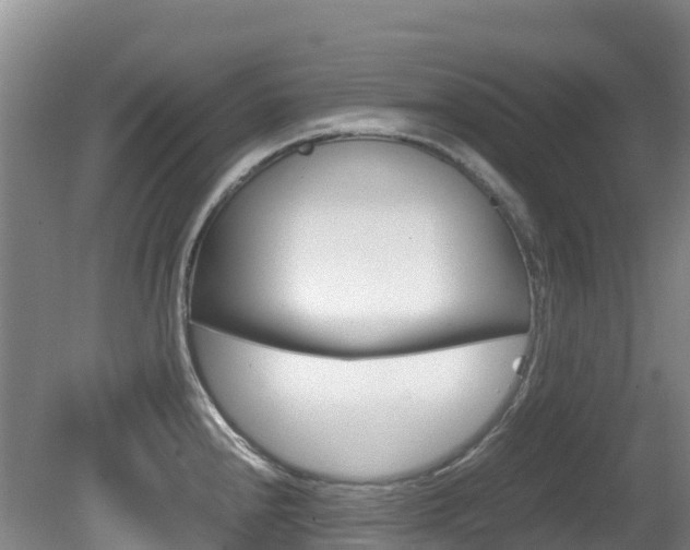 X0000081611240200701151112