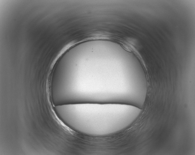 X0000081611243200701151112