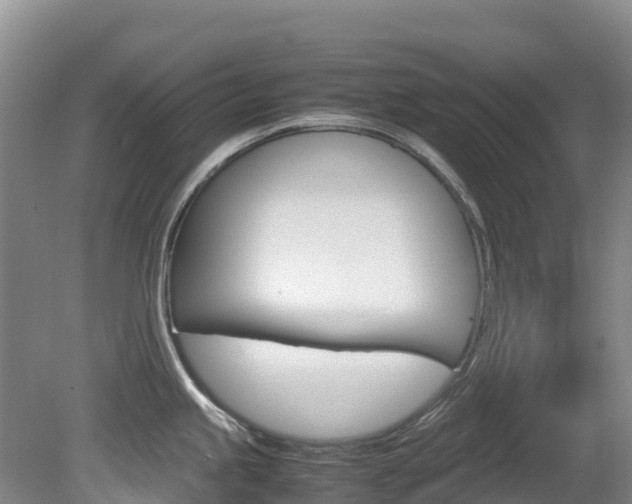 X0000081611245200701151112