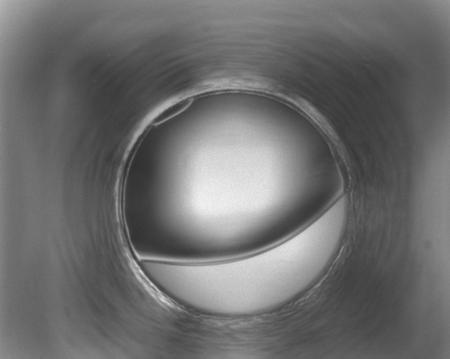 X0000081611246200701151112