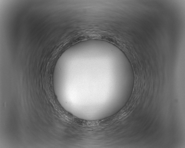 X0000081611249200701151111