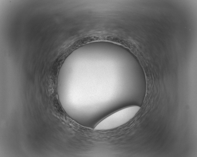 X0000081611253200701151111