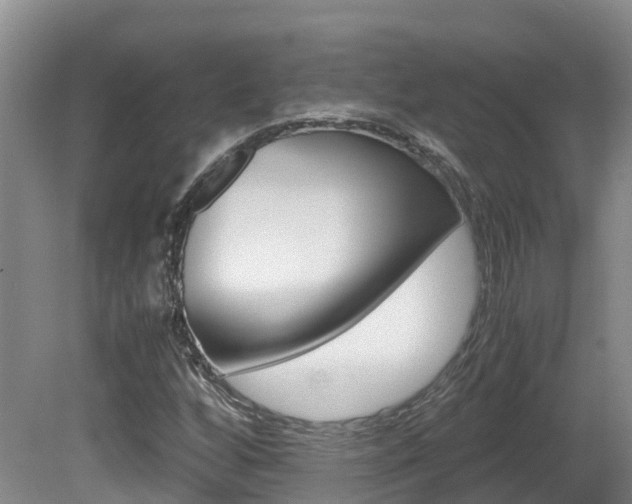 X0000081611256200701151111