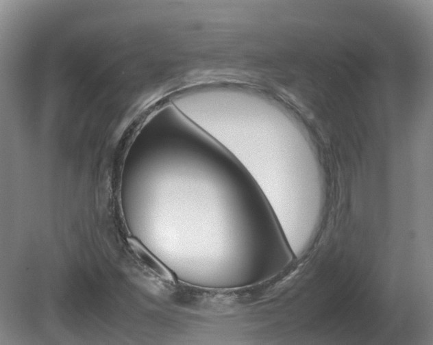 X0000081611261200701151111