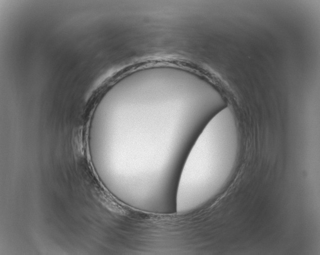 X0000081611262200701151111