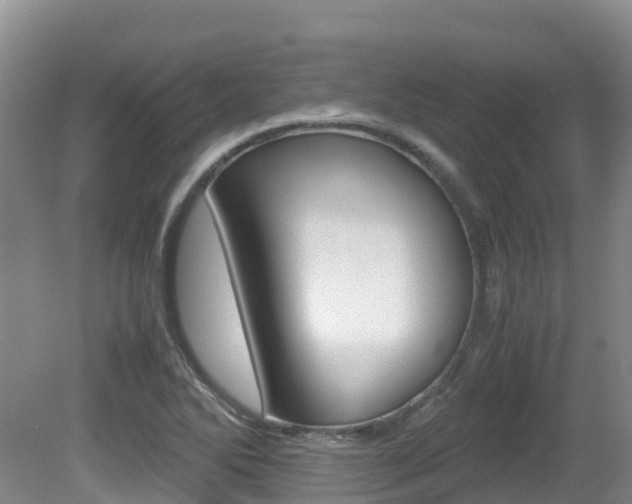 X0000081611270200701151110