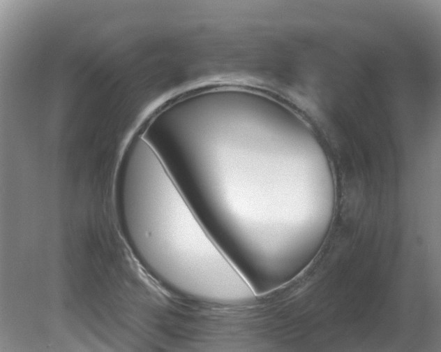 X0000081611272200701151110