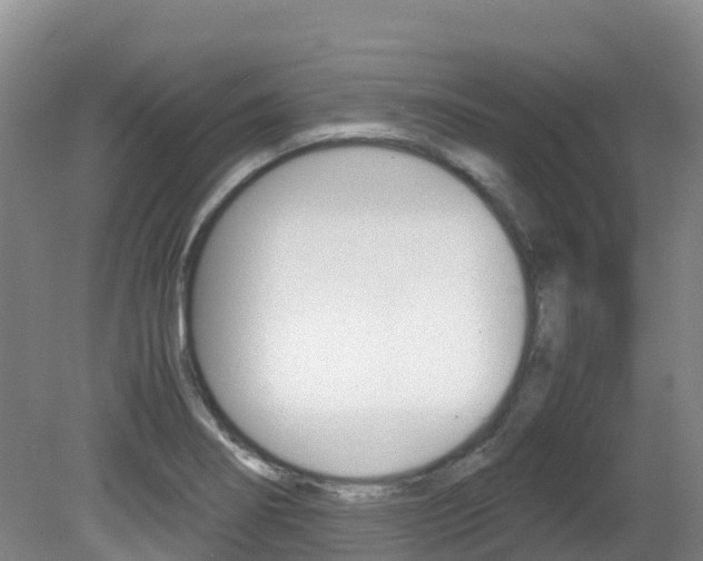 X0000081611274200701151110