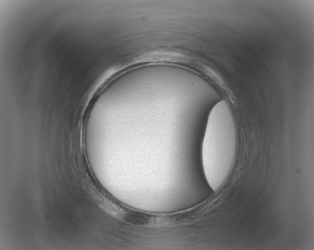 X0000081611275200701151110