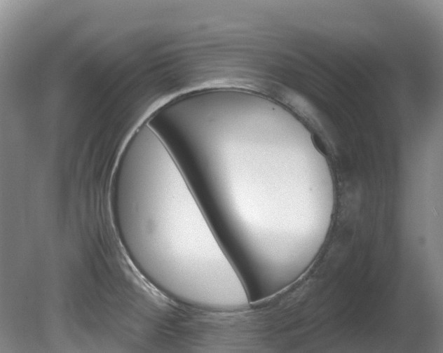 X0000081611284200701151110