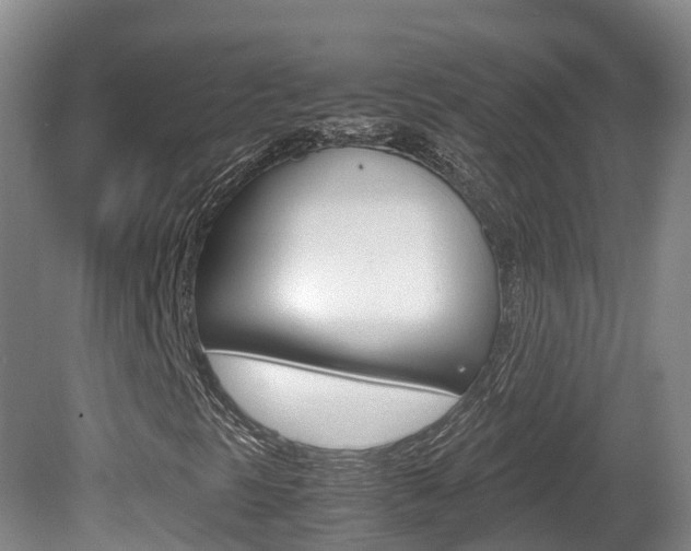 X0000081611297200701151109