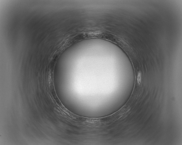 X0000081611299200701151109