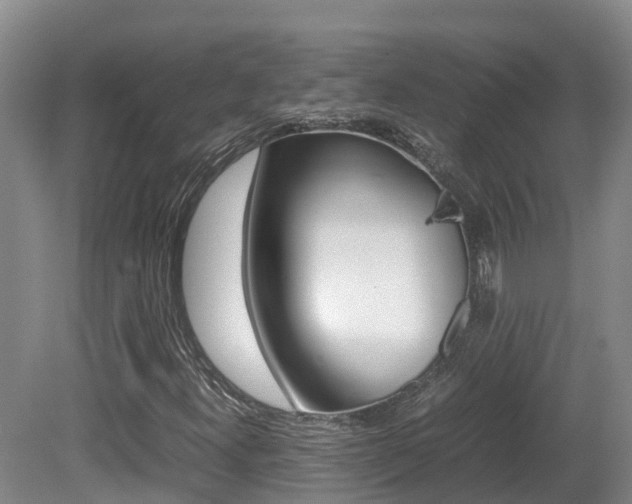 X0000081611300200701151109