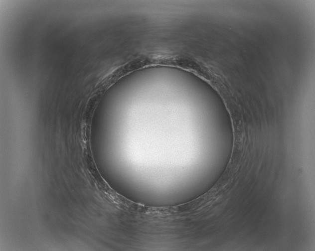 X0000081611301200701151109
