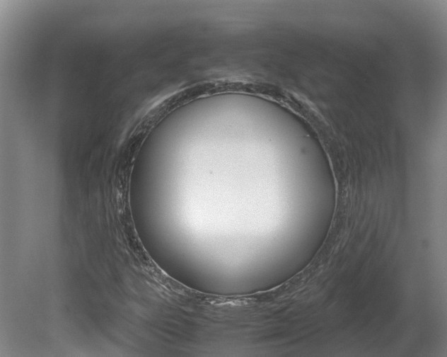 X0000081611303200701151109