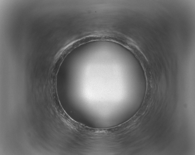 X0000081611304200701151109