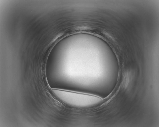 X0000081611305200701151109