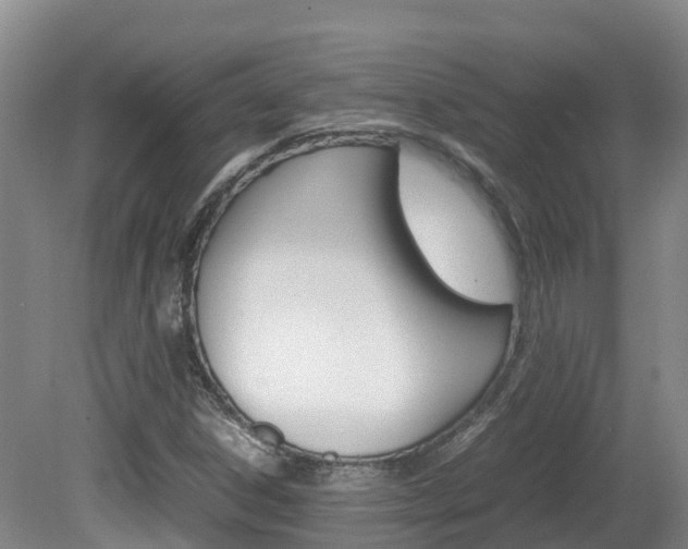 X0000081611306200701151109