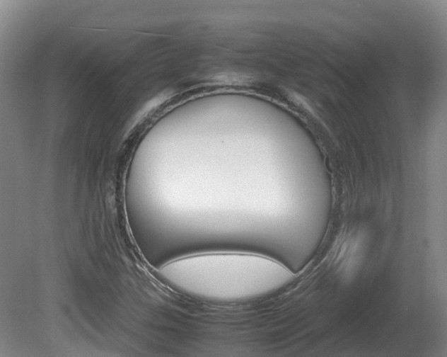 X0000081611307200701151109