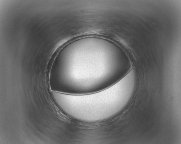 X0000081611308200701151109